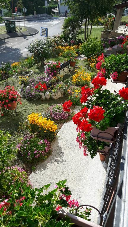 Apartments Topalovic กอสเตรนา ภายนอก รูปภาพ